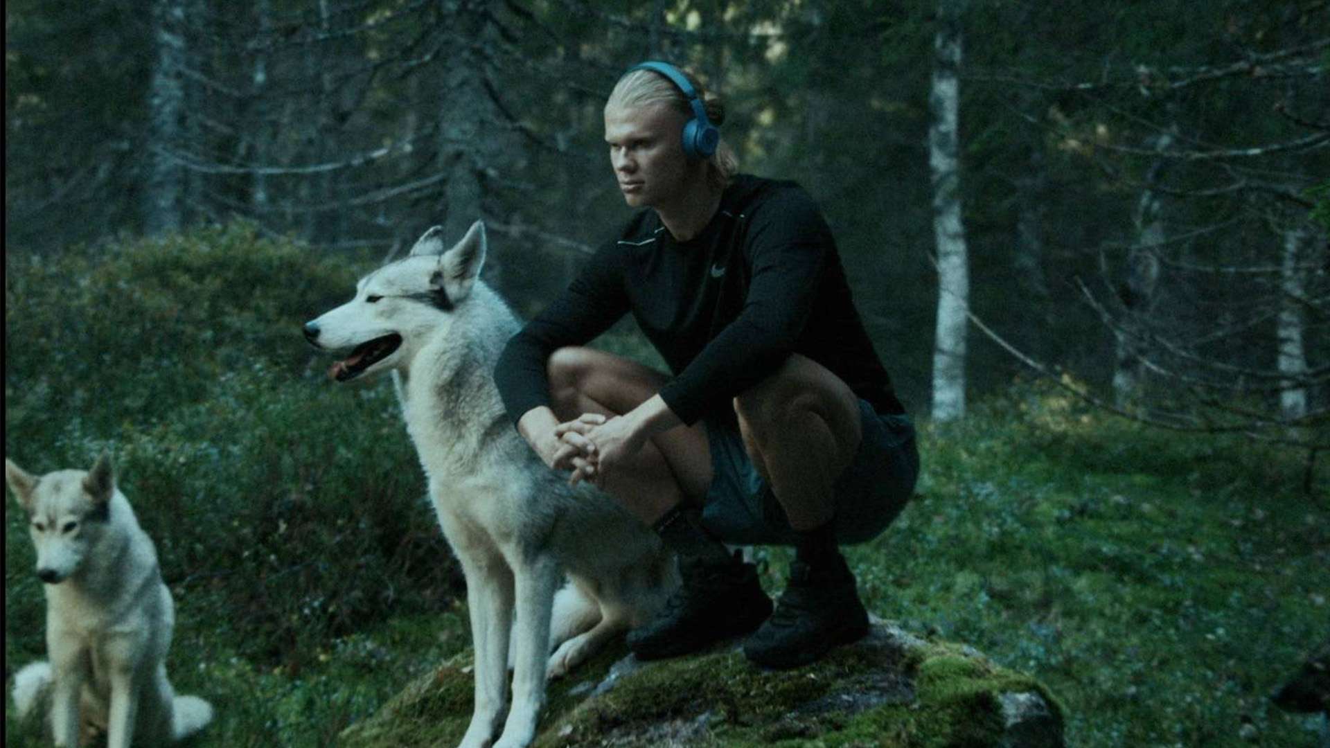 的国际视野 的国际视野